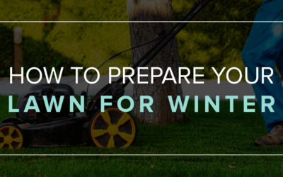 Preparing Your Lawn & Landscape for Winter: Tips and Tricks