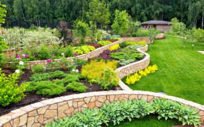 Why Hiring A Landscape Designer Is Cheaper Than DIY Landscaping