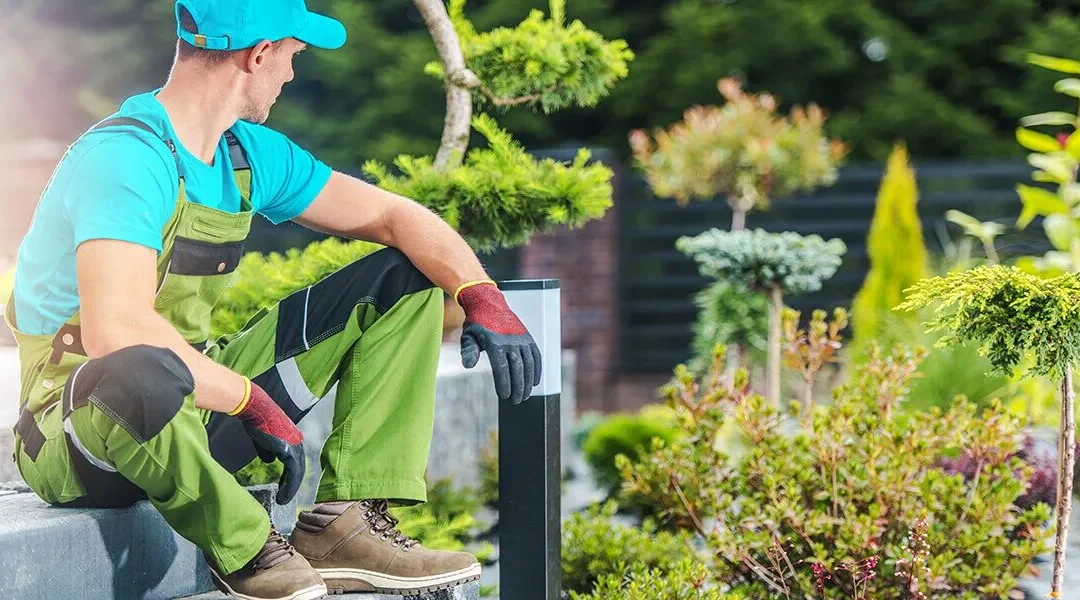Why You Need A Northern Virginia Landscaper