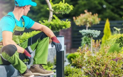 Why You Need A Northern Virginia Landscaper