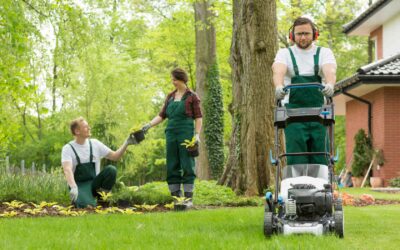 Essential Lawn And Garden Care Tips For New Homeowners