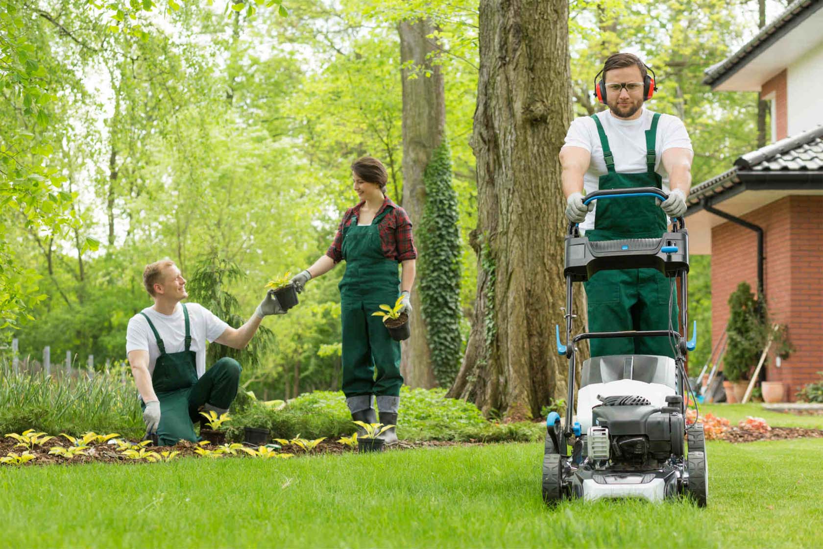 lawn and garden care