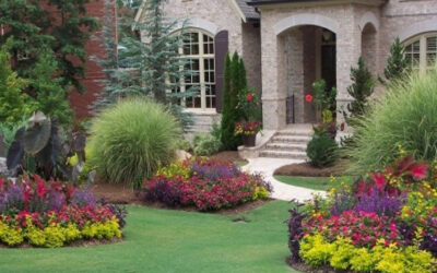 Residential Landscaping in Northern Virginia: Uncovering the Unique Needs and Challenges