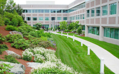 Top 5 Benefits Of Commercial Landscaping For Businesses In Northern Virginia