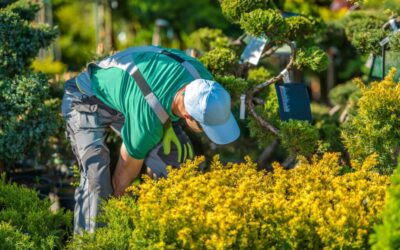 Reasons To Hire A Professional Landscaper In Northern Virginia
