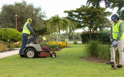 What to Look For in a Commercial Landscaper