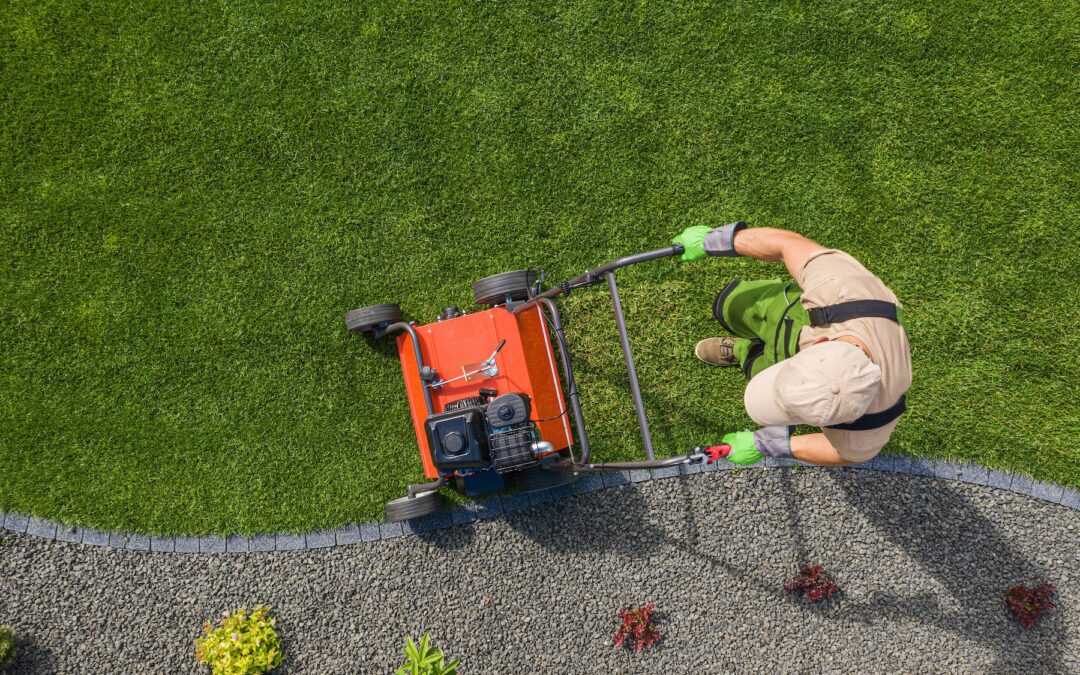 3 Reasons to Hire a Professional Landscaper for your Commercial Property